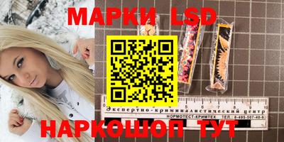 прущие грибы Краснокаменск