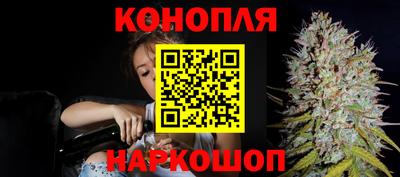 spice Краснознаменск