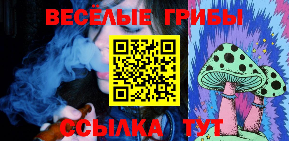 Галлюциногенные грибы Psilocybine cubensis Черняховск